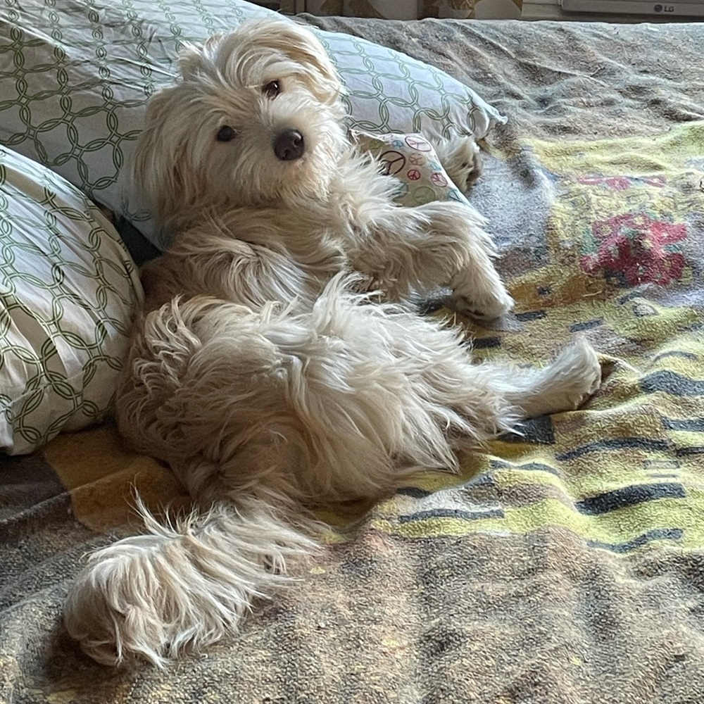 Meet your Posher, Kyla